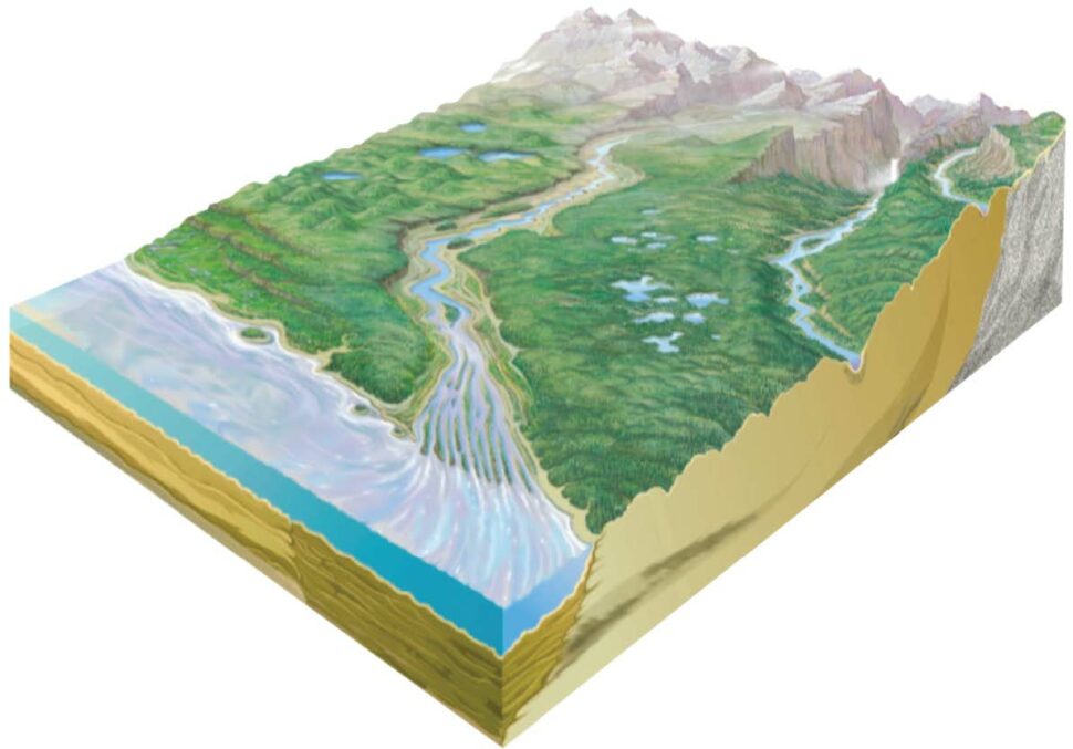 BioGeoChemistry at Interfaces Science Focus Area - Environmental System ...