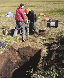 photo: measuring soil organic carbon