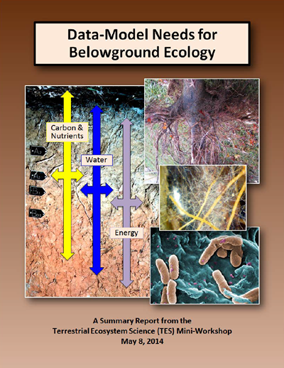 Data-Model Needs for Belowground Ecology