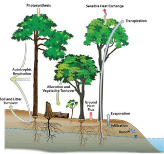 Next-Generation Ecosystem Experiments – Tropics - Environmental System ...