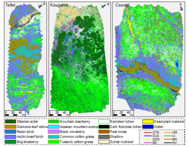 Landscape-Scale Characterization of Arctic Tundra Vegetation ...