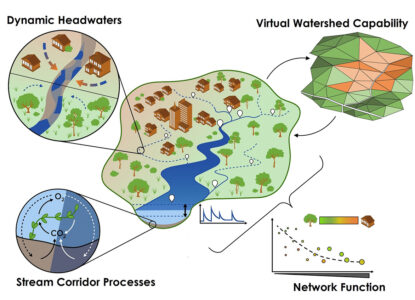 Diagram of river flowing through forest and city, with expanded diagrams of river, plants in river, scatterplot graph, and watershed model.