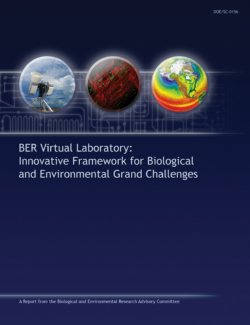 Cover of BER Virtual Laboratory: Innovative Framework for Biological and Environmental Grand Challenges Report.