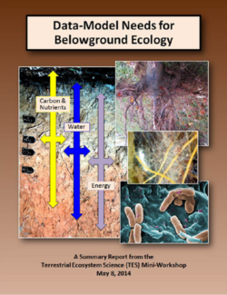 cover of Data-Model Needs for Belowground Ecology report