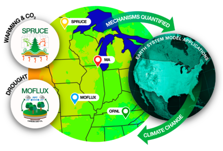 Map of the United States showing Terrestrial Ecosystem Science SFA's research locations for SPRUCE, MOFLUX, ORNL, and MA. SPRUCE is located in Minnesota. MA is in Illinois. MOFLUX is in Missouri, and ORNL is in Tennessee.