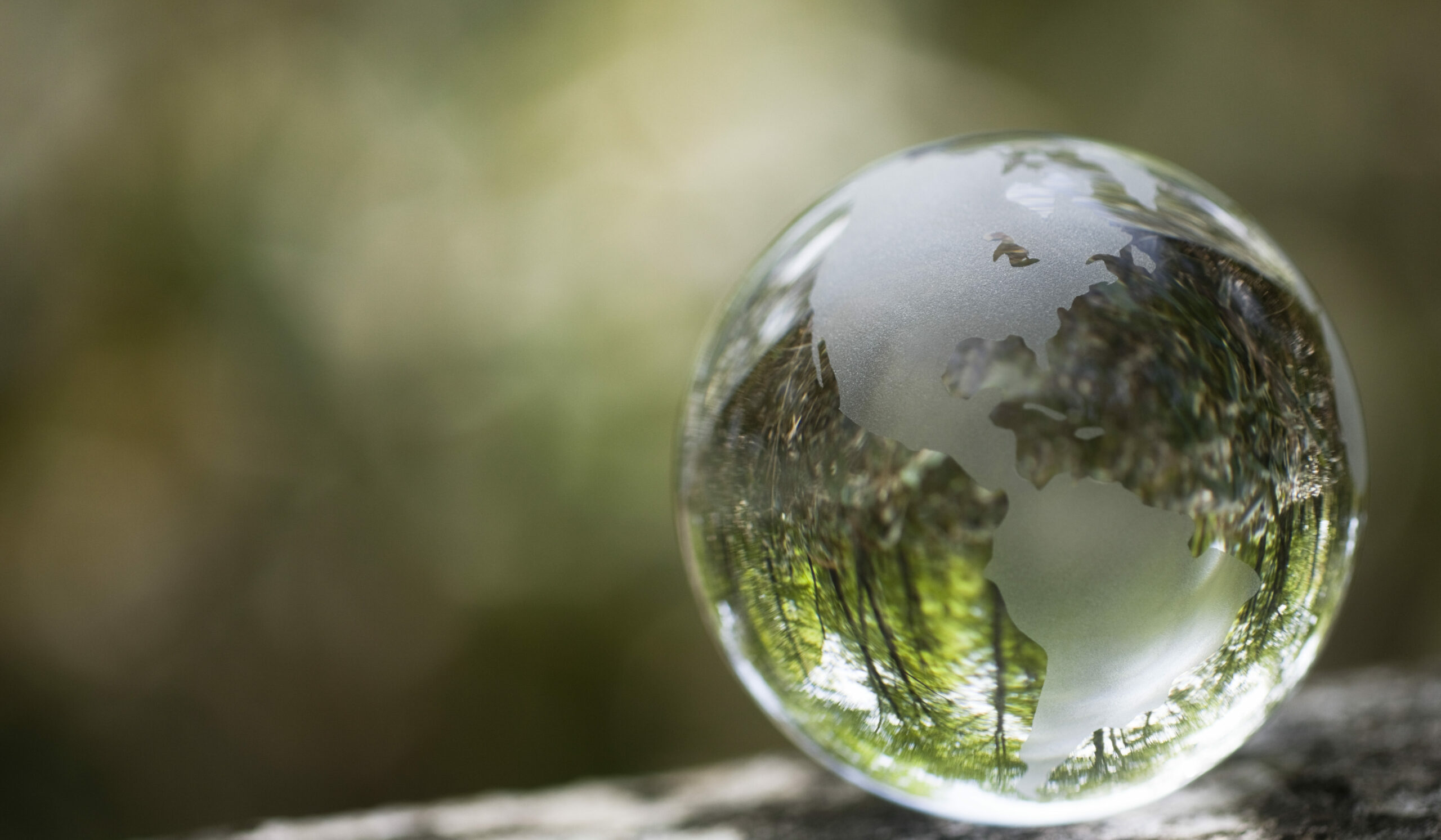 Forest reflected in a globe.