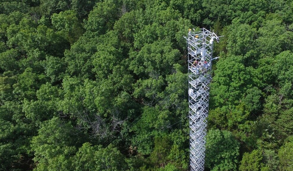 MOFLUX Tower in the forest.