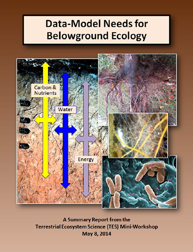 Cover of Data-Model Needs for Belowground Ecology Workshop Report.