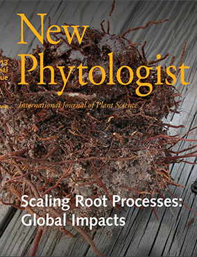 Cover of Scaling Root Processes: Global Impacts Workshop Summary New Phytologist Virtual Special Issue.