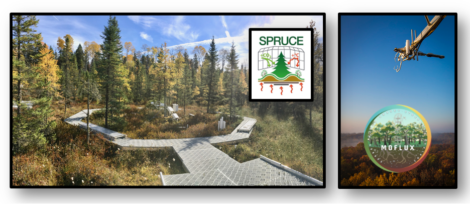 Photo of SPRUCE study site in peatland and MOFLUX study site.