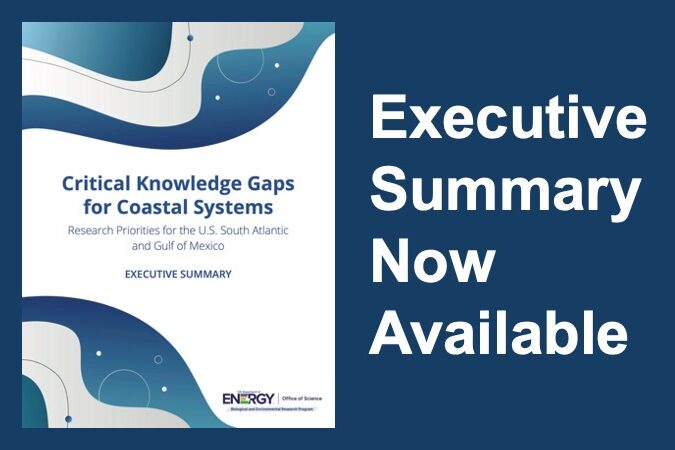 Workshop Executive Summary Available